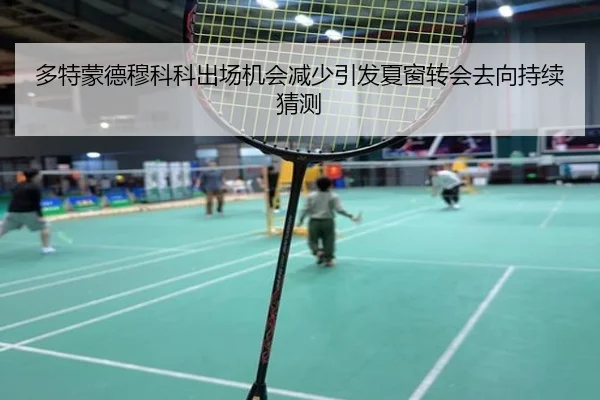 多特蒙德穆科科出场机会减少引发夏窗转会去向持续猜测