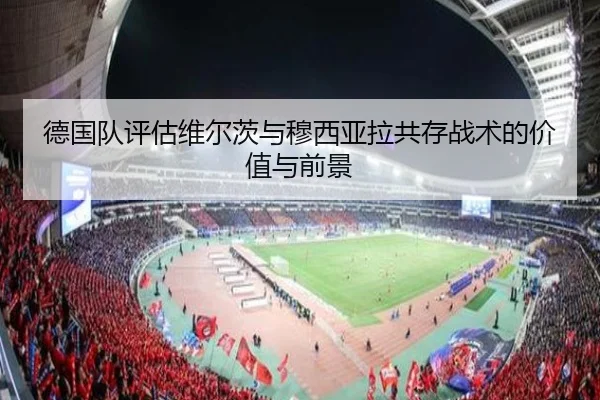 德国队评估维尔茨与穆西亚拉共存战术的价值与前景